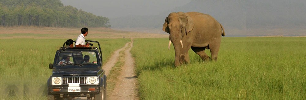 corbett safari